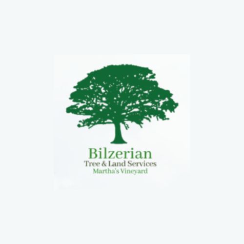 Bilzerian Tree & Land - Tree Removal & Pruning Service, Tree Stump Removal in Vineyard Haven, MA